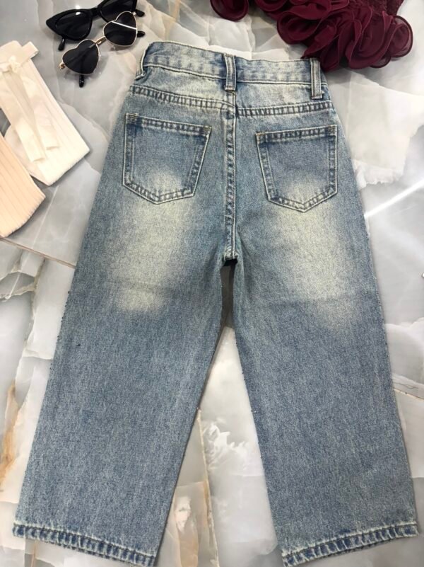 img_1911-3 img_1911-3